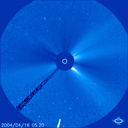Komet Bradfield im Sichtfeld der SOHO-Sonde