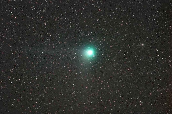 Komet Machholz  am 15.01.2005