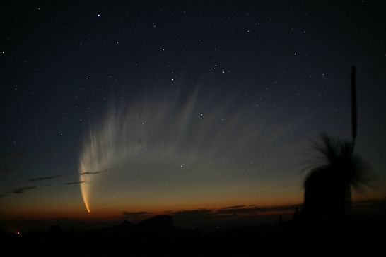 Komet McNaught am 19.01.07