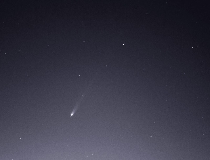 Komet Ison, aufgenommen von Thorsten Böckel.